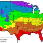 Frost-Protected Shallow Foundations